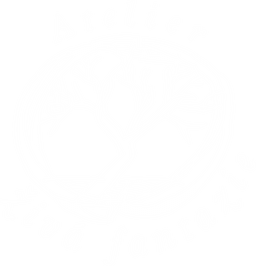 Ateliér Živá fantazie: užitková kamenina, porcelánové šperky